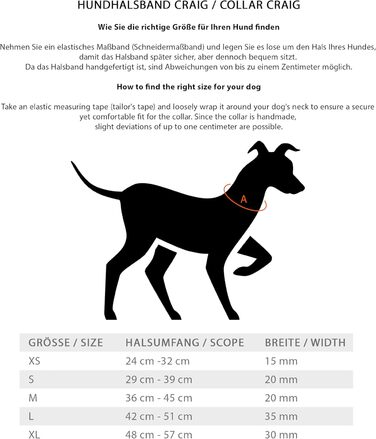 Нашийник для собак Джек Рассел з натуральної шкіри та неопрену – м'який та міцний нашийник для маленьких та великих собак – преміум нашийник Craig (L) L (42.0-51.0 см)