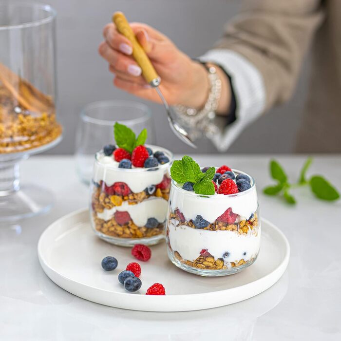 TREND FOR HOME Dessert Glasses Emma Large 475 ml, Round Glasses Set of 6, Gin Tumbler Dessert Bowls Glass, Restaurants and Parties, Dishwasher and Microwave Safe