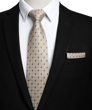 HISDERN Комплект краватки та нагрудного хустинки для чоловіків: стильний бежевий варіант для весілля та особливих подій