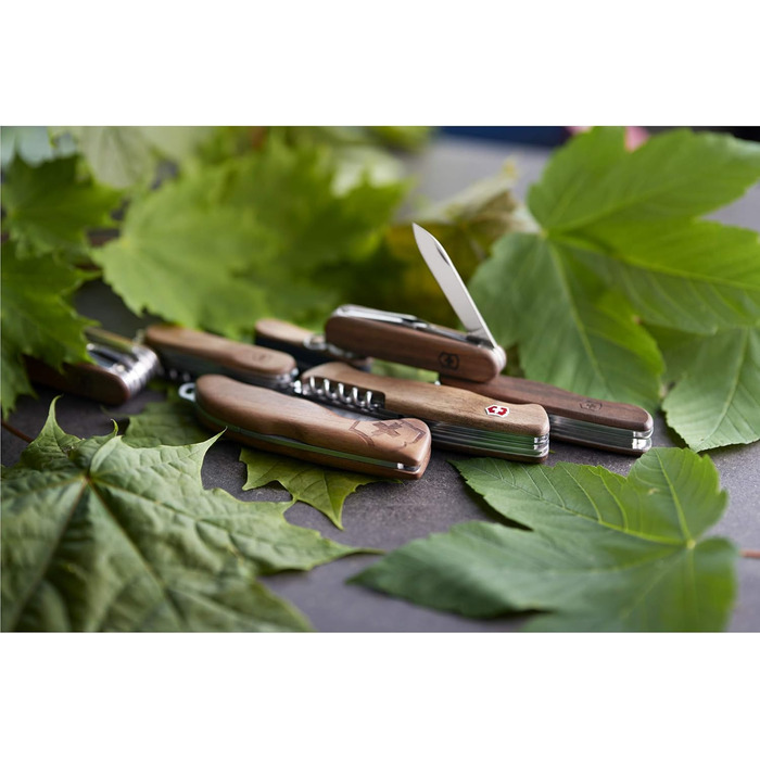 Мультитул Victorinox Forester - Швейцарський ніж, 10 функцій, з фіксатором леза