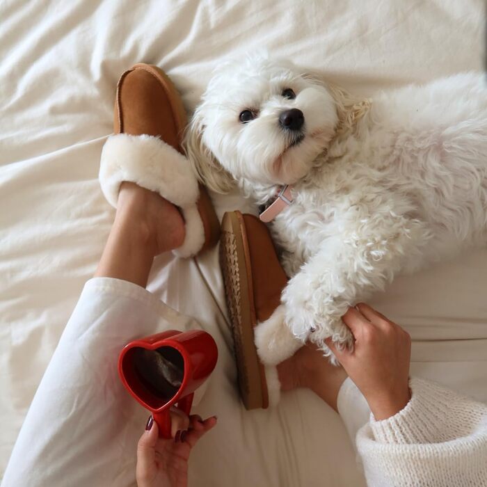 Домашні тапочки 'Fireside Sydney' з натуральної овечої вовни для дому та вулиці, широка колодка (35 EU, каштановий)