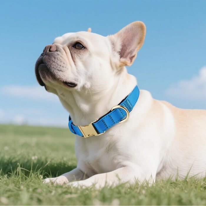 Нашийник для собак Didog з нейлону, м'який, з металевою застібкою, для великих, середніх собак, чорний, L (38-58 см)