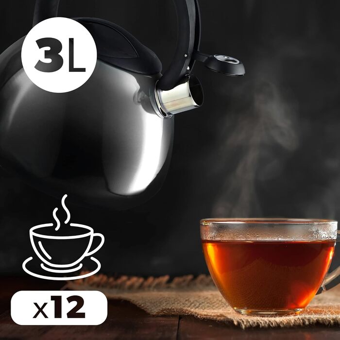 Чайник KADAX з нержавіючої сталі, 3л, з свистком, ретро дизайн, різні кольори, ефект Ombre, (Блакитний/Сірий)