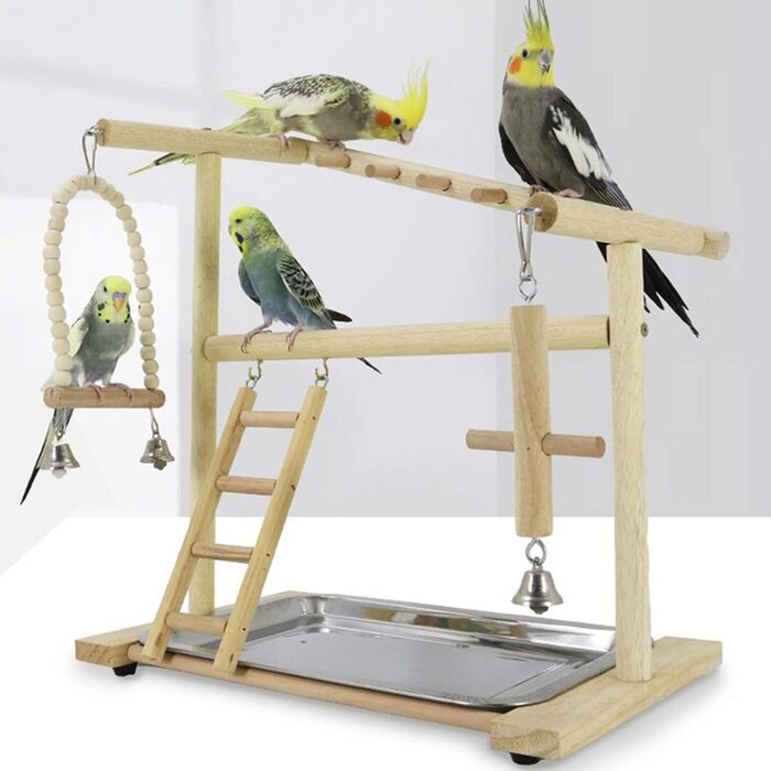Bird Playground, budgie toys, bird stand, bird gym, bird accessories, playground, ladder, exercise pen with feeder cups, tray, swing for parakeets, canaries, finches, etc. #9