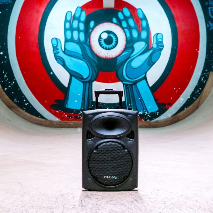 Портативна акустика Ibiza PORT12VHF-BT 12