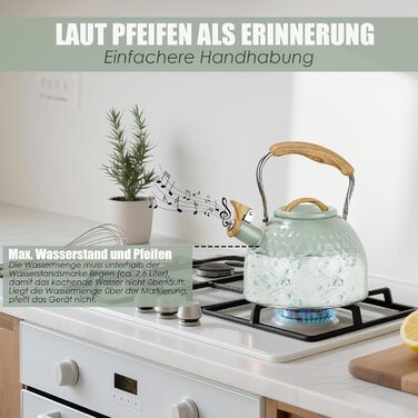 BEZORR Чайник-свисток з нержавіючої сталі, 3 літри, Ретро дизайн, для плити, індукції, газової, керамічної