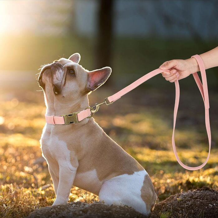 Лідяний нашийник для собак Didog: міцний, з металевою застібкою, регульований, для середніх та малих собак, рожевий (13-21 см)
