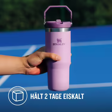 Stanley Flip Straw Tumbler 1.0 Water Bottle with Straw 0.89L - Thermos Bottle Keeps 12+ Hours Cold - Dishwasher Safe - Sports Bottle - Water Bottle BPA Free - (Lilac)