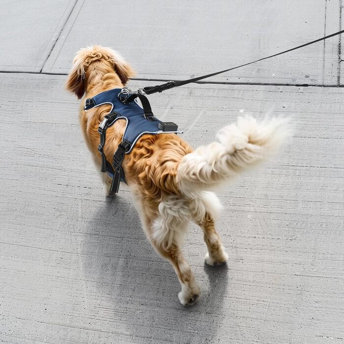 Світловідбиваючий нашийник для собак Jewyow з LED, перезаряджуваний, м'який, регульований, водонепроникний, зелений (XL)