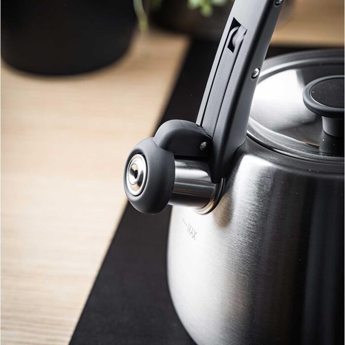 Чайник сталевий 2.5L Induktion (сріблястий)