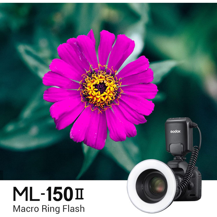 Godox ML-150 II – кільцева світлодіодна лампа для макрозйомки