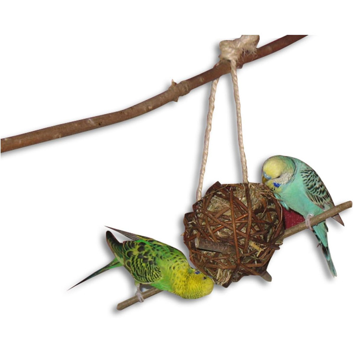 6-Piece Shredder and Nibbling Set for Birds | Basic Equipment for Bird Owners | Budgie Toy | Cockatiel Toy