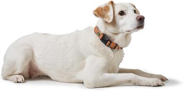 Нашийник для собак HUNTER Neopren Vario Plus, нейлон, неопрен, регульований, з поглинанням ударів, комфортний, розмір L/2,5