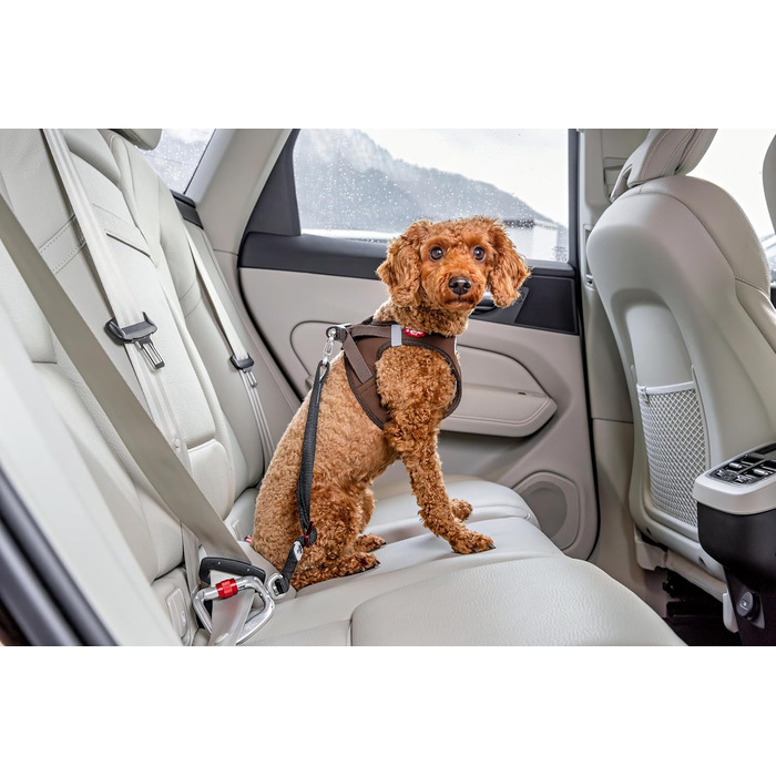 Large Car Safety Belt V2 L - Enhanced Vehicle Safety Restraint