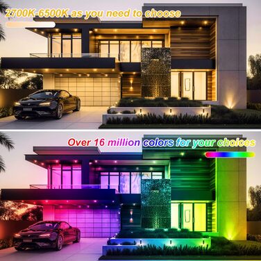 LED Floodlights Outdoor, 100W Smart RGB Floodlights with Remote Control and Bluetooth App, LED Floodlight Spotlights Color Changing Projector, IP66 Waterproof Floodlight for Gardens, Patios (2 Pack)