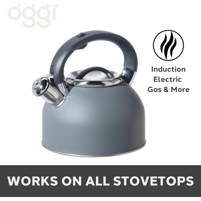 Чайник OGGI для плити, 1.9 л, нержавіюча сталь, з гучною свистком, ідеальний для приготування гарячої води