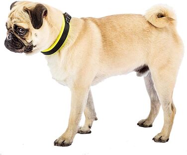 Нашийник для собак Ferplast ERGOFLUO C15/42 з підкладкою та мікрорегулюванням, зелений