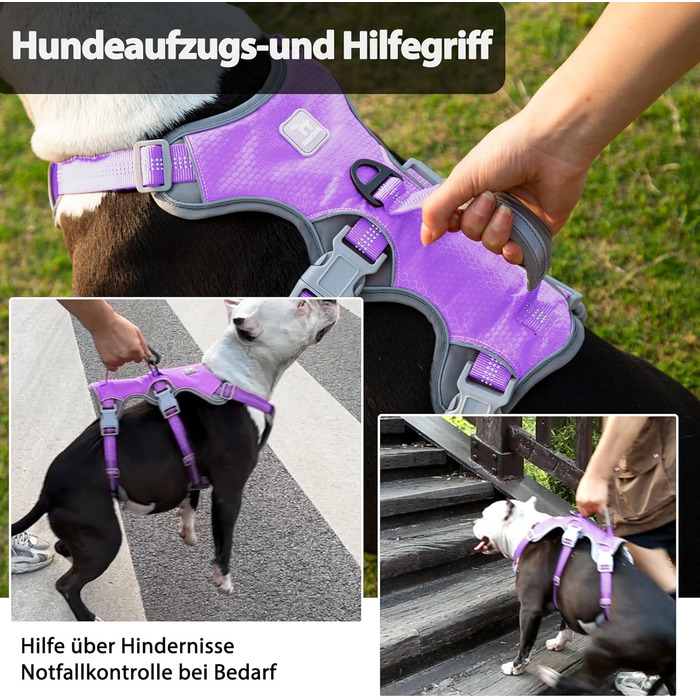 Нашийник для собак Huntboo, великих порід, анти-вислизання, світловідбиваючий, водонепроникний, регульований, для прогулянок та бігу (L, фіолетовий лаванда)