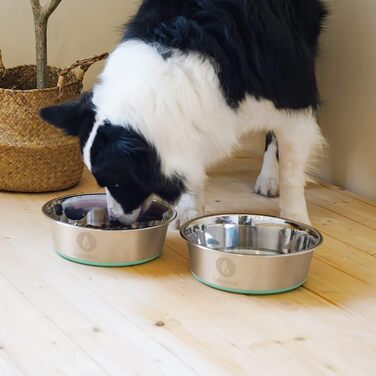 Набір мисок для собак LumoLeaf, нержавіюча сталь, великі, 2 x 3000 мл, з протиковзким силіконовим дном, для великих і середніх собак, миска для їжі та води, придатна для миття в посудомийній машині (подвійний набір)