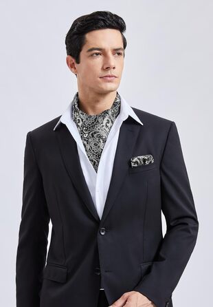 HISDERN Комплект краватка-снуд, краватка-аскот, хустинка для кишені чоловіча Paisley сіра/срібна для весілля та бізнесу