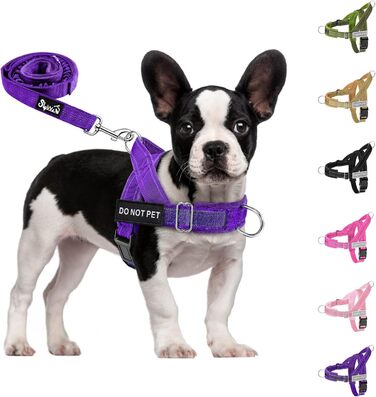 Нашийник для собак Eyein для великих та середніх собак, м'який, з 2 застібками, світловідбиваючий, легкий, анти-тяга, для прогулянок та тренувань (S, фіолетовий)