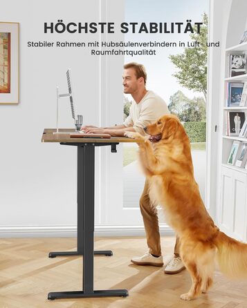 ErGear Electric Standing Desk 100x60cm - Walnut Finish, 4-Memory Smart Desk for Home Office with Mounting Plate