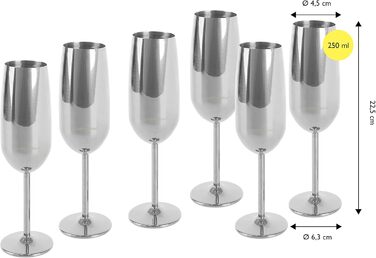 Набір келихів для шампанського та шампанського з нержавіючої сталі, 6 шт., 250 мл, сріблястий, для вечірок, свят, пікніків, подарунок