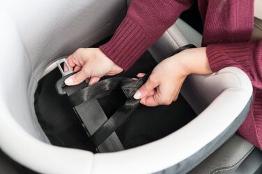 Автокрісло та переноска для собак TRIXIE - 45x39x42 см, до 8 кг, з короткою пов'язкою та кишенею