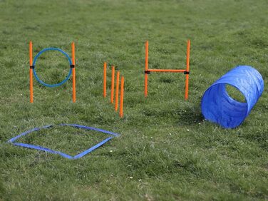 Набір для аджиліті для собак маленьких та середніх порід | Набір для дресирування собак з бар'єрами, тунелем та кільцем для стрибків | Початковий набір для собачого спорту