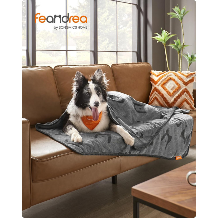 Набір з 3 ковдр для собак Feandrea, 152 x 127 см, фланель, сірий, XL