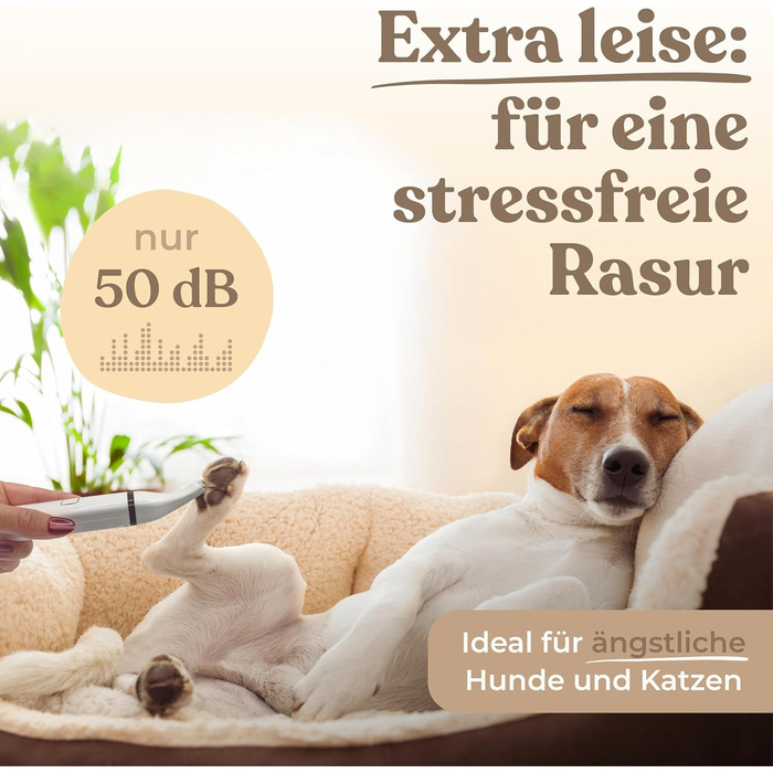 Триммер для собак та котів Profi: тиха машинка для стрижки лап, вух та шерсті. Потужний акумулятор, USB-C зарядка