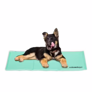 Relaxdays Turquoise Cooling Mat for Dogs
