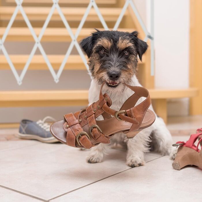 Захисне ворота для собак Relaxdays, висувне до 130 см, висота 87,5-100 см, бамбук, біле (L)