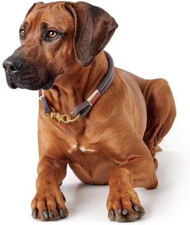 Нашийник для собак HUNTER Sansibar Rantum Halsung, сірий, розмір M-L, сучасний, морський стиль