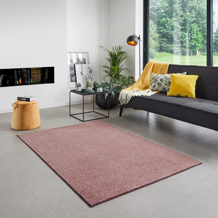 Килим для вітальні та спальні Carpet Studio Maine, 140x200 см, короткий ворс, рожевий