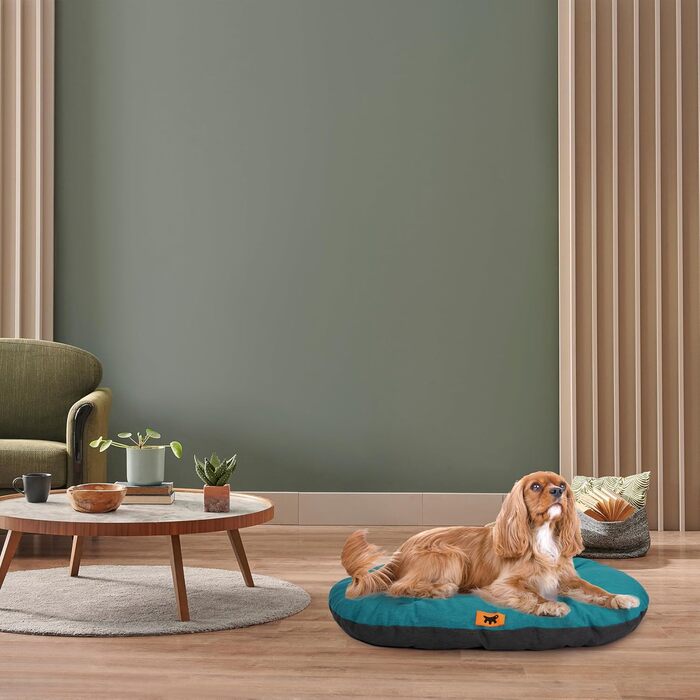 Крісло-лежанка для собак та котів Ferplast Relax, бавовна, 78 x 50 см, блакитний (Ottanio)