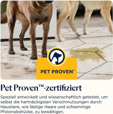 БІССЕЛ SpotClean HydroSteam: пароочисник для килимів та м'яких меблів, потужний 1000W, 3689N (новинка)