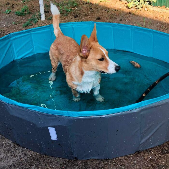 Navaris Dog Pool Splash Pool Foldable - Dog Pool made of Plastic - Agility Dog Toy - Dog Swimming Pool - Grey Petrol - Various Sizes