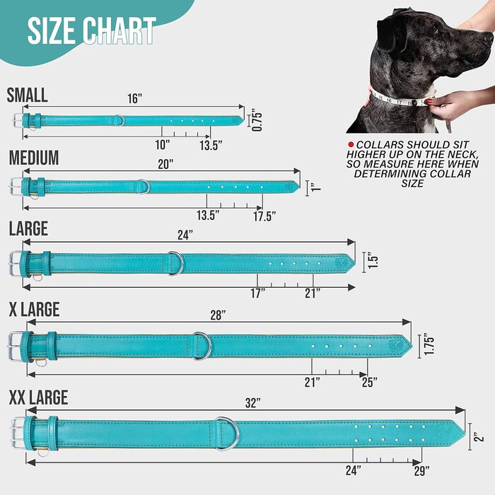Riparo Genuine Leather Adjustable Dog Collar with Additional Reinforcement (: 4.5CM Wide for 53.4CM - 63.5CM Neck, ) (L, Aqua)
