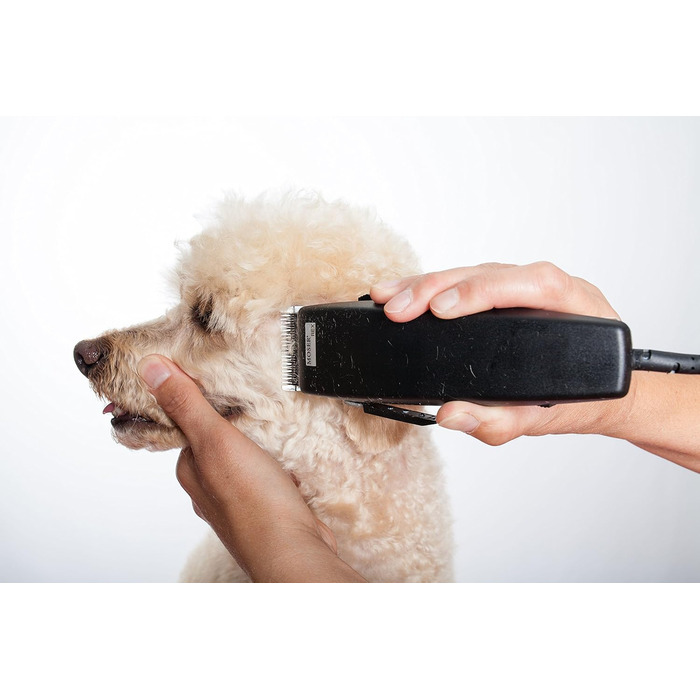 Професійна машинка для стрижки тварин Moser Rex 1230 для собак середніх порід (стара версія)