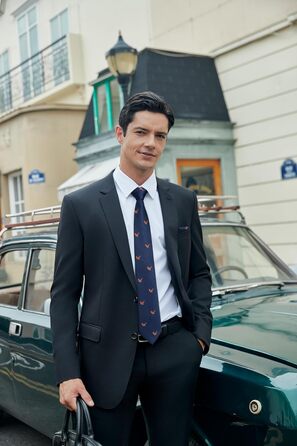 HISDERN Комплект краватки та нагрудного хустинки з принтом тварин для чоловіків. Підходить для весілля, ділових зустрічей та особливих подій. (Темно-синій/Орел, універсальний розмір)