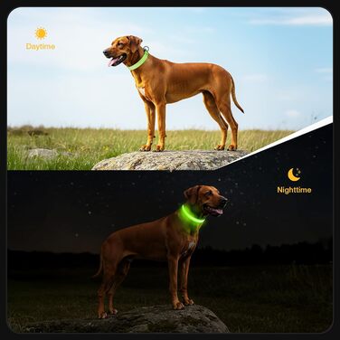 Світлодіодне нашийник для собак Jewyow 7-в-1, перезаряджуваний USB-C, водонепроникний, зелений (L)