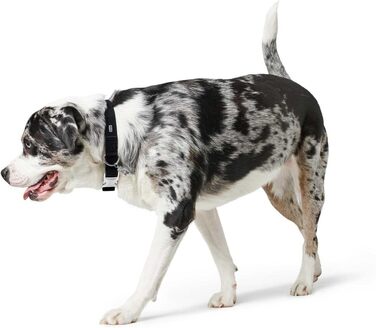 Нашийник для собак HUNTER SOFTIE ALU-STRONG, штучна шкіра, алюмінієва застібка, чорний, розмір M