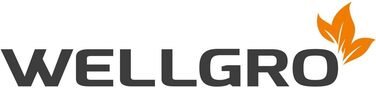 Набір із 20 роликів для чищення одягу WELLGRO, 1800 аркушів, 4 тримачі, діагональна перфорація для легкого відриву