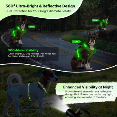 Світловідбиваючий LED нашийник для собак, USB-C, для маленьких собак, XS-S, для прогулянок вночі