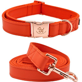 Ошатний нашийник та поводок для собак з шкіри - міцний нашийник для осені, регульований для маленьких собак, набір (1 шт.), помаранчевий