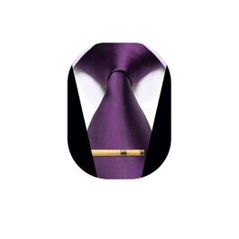 Чоловічі краваткові аксесуари YourTies: смугасті та клітинчасті краватки з шовкової тканини, набір з краватною кліпсою (сливовий колір)