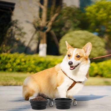 Складані годівниці для собак SLSON, 2 шт., з кришкою та карабінами, для прогулянок, подорожей та повсякденного використання, чорний, маленькі