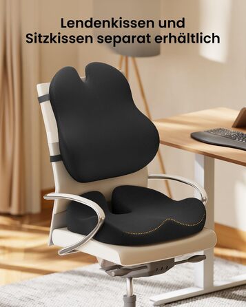 Подушка для спини ProtoArc з Memory Foam для офісного крісла, авто та столу - ергономічна, дихаюча, з регульованими ременями та сітчастим чохлом (Чорна)