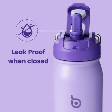 BOTTLE BOTTLE Stainless Steel Water Bottle 24oz (709ml) with Straw Handle and Pill Compartment for Outdoor School, Insulated Sports Bottle (Violet)